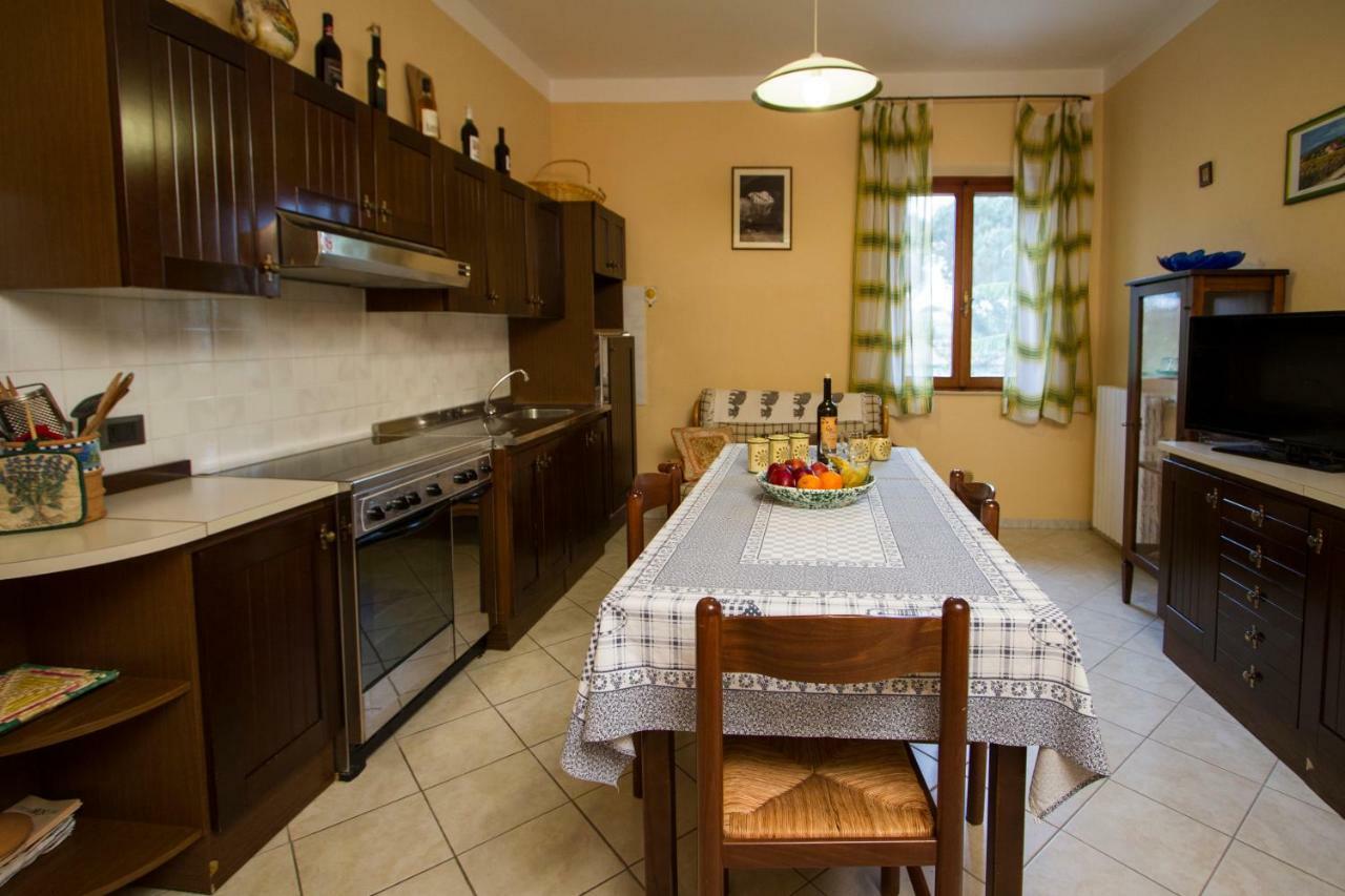 Casa Elena Lejlighed Cortona Eksteriør billede